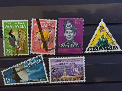 Malaysian 1