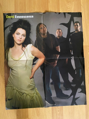 Evanescence juliste