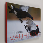 Markus Varesvuo ym. : Linnut vauhdissa - pikkukuva 1
