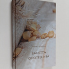 Mikko Pyhtilä : Sadetta odotellessa - pikkukuva 1