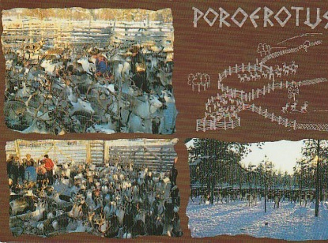 Postikortti, LAPPI, Poroerotus