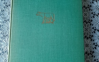 Rooman Päiviä ja Öitä 1953