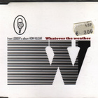 Lodger: Honeymoon Is Over + single (CD + CDS) - pikkukuva 2