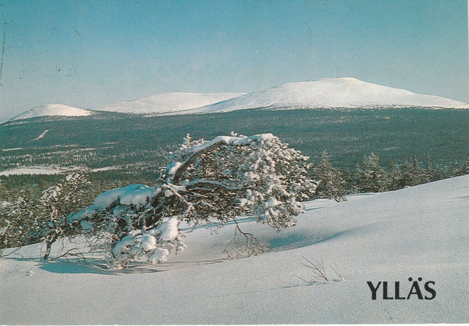 Postikortti  YLLÄS, Erikoisleima Äkäslompolo