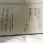 Georges Simenon - Maigret ja penkillä istuskelija (nid.) - pikkukuva 2