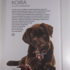 Nina Mäki-Kihniä : Koira : suuri koirakirja - pikkukuva 2