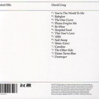 David Gray • Greatest Hits CD - pikkukuva 2