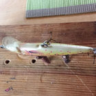 Rapala Floating Finland 6cm - pikkukuva 4