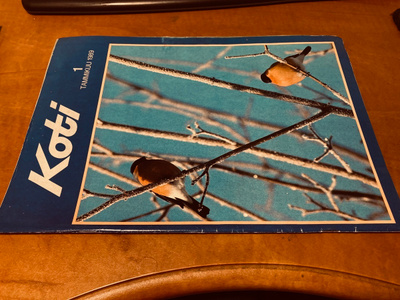 KOTI LEHTI 1/1989 HYVÄ