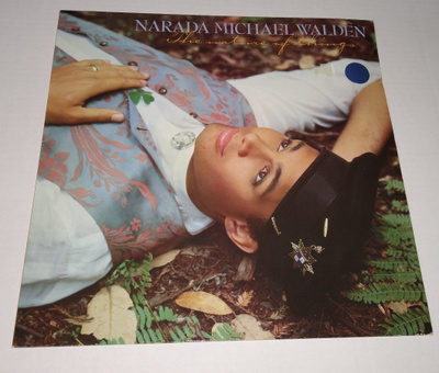NARADA MICHAEL WALDEN THE NATURE OF THINGS LP
