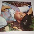 NARADA MICHAEL WALDEN THE NATURE OF THINGS LP - pikkukuva 1