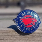Bewe Sport pinssi. Kaukalopallo. Halkaisija - 17 mm. - pikkukuva 1