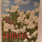 Kotiliesi No 12 kesäkuu 1954 - pikkukuva 1