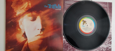 The Triffids – Calenture vinyyli lp
