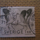 Ruotsi 1968: kanaali ja kurkien tanssi - pikkukuva 4