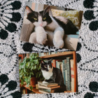 ~Kissa kortti~ 2kpl - pikkukuva 1