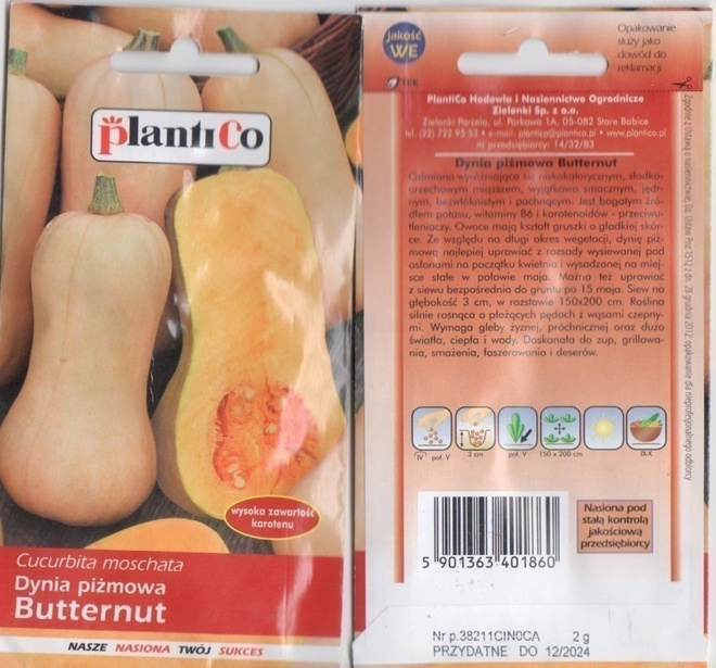 Kurpitsa "Butternut" siemenet # 12.2024 -70%!!!