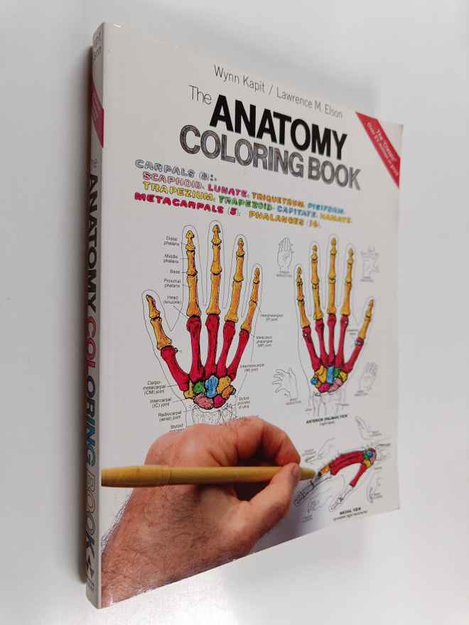 Wynn Kapit ym. : The Anatomy Coloring Book