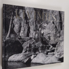 Veikko Salmela : Kivimies - pikkukuva 1