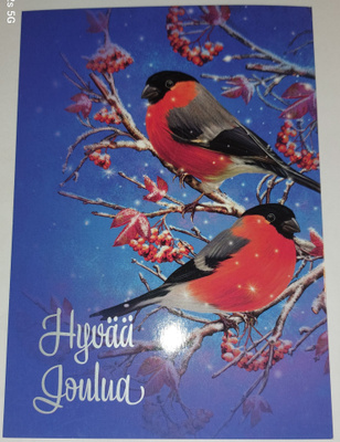 Hopea/Kultafolioitu joulukortti