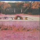 FRANK ZAPPA - HOT RATS - GATEFOLD UK 1977 M-/M- LP - pikkukuva 2