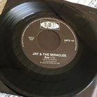 JAY & THE MIRACLES: Sun * Love Takes Me Home - pikkukuva 2