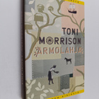 Toni Morrison : Armolahja - pikkukuva 1
