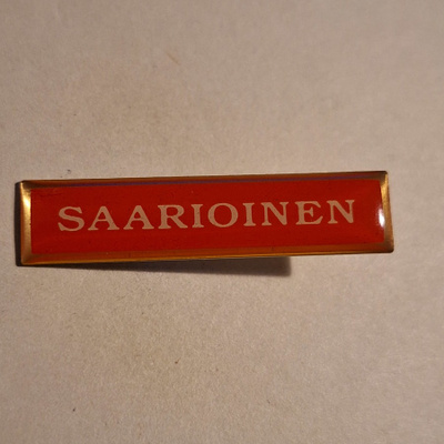 SAARIOINEN PINSSI