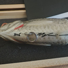Lucky lures roach - pikkukuva 3