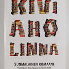 Kiviaholinna : suomalainen romaani - pikkukuva 1