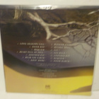 TROUBLE - VICTIM OF THE INSANE... M-/M- SAKSA 2011 LP - pikkukuva 2