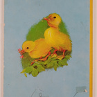 Suloisia eläinkuvia - pikkukuva 2