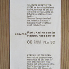 IPNOS....Rotukoirasarja, kuva 80/32. Sininen Kerryn terrieri - pikkukuva 2