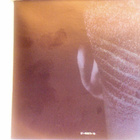 DEMETRIUS PERRY :: ANOTHER WORLD :: CD ALBUM 1990 - pikkukuva 4