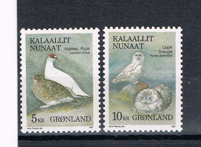 Grönlanti 1987 - Lintuja (2) ++