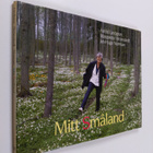 Astrid Lindgren : Mitt Småland - pikkukuva 1