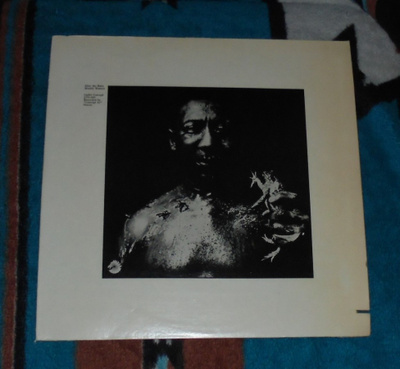 MUDDY WATERS ~ After The Rain ~ LP