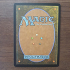 Magic the Gathering Stalwart Shield-Bearers - pikkukuva 2