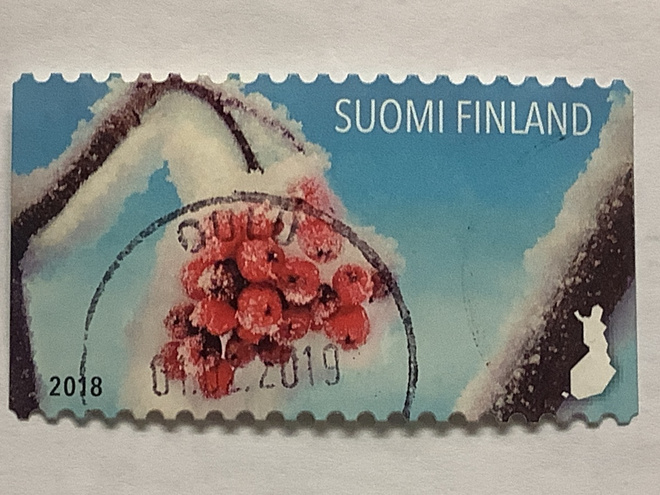 2574/ 2018 Jäämarjat  o leimattu loisto