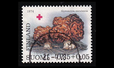 752 o Punainen Risti korvasieni Iisalmi 26.4.76 (1974)