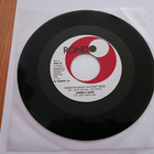 Anneli Sari – Mustalaiskaravaani 7" orig 1975 uusi mint - pikkukuva 2