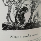 Grimmin satuja - suom. Anni Swan kuv. Arthur Rackham - pikkukuva 3