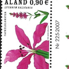 Åland 2007 Rantakukkia 0,90 € välilöpari numero ** LaPe 274 - pikkukuva 1