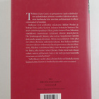 Maeve Binchy : Sydämenasia - pikkukuva 2