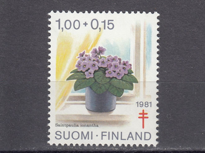 1981 Lape 884 Tuberkuloosi, Paavalinkukka **