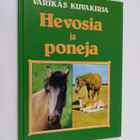 Hevosia ja poneja - pikkukuva 1