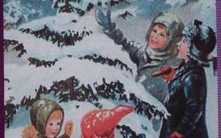 Lapset valinneet sopivan joulukuusen kotiin