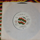 7" ZZ TOP - I Thank You - promo single 1979 blues rock MINT- - pikkukuva 2