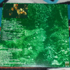 FREEMAN ~ 2 ~ LP Love Records - pikkukuva 2