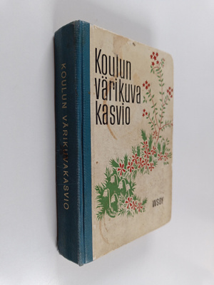 Koulun värikuvakasvio